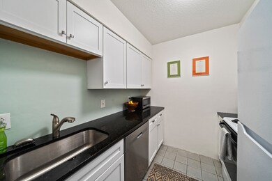 59-69 Msgr Patrick j Lydon Way unit 204, Boston, MA 02124 - photo 4