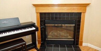 14 Idaho St, Mattapan, MA 02126 - photo 7