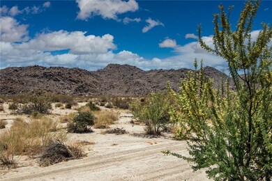 60810121 Cottonwood Dr, Joshua Tree, CA 92252 - photo 3