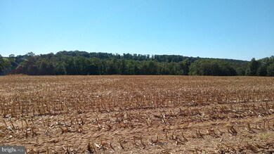 919 Valley Rd, Quarryville, PA 17566 - photo 4