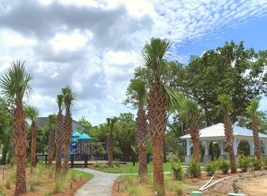 park 7.13.19 (1)