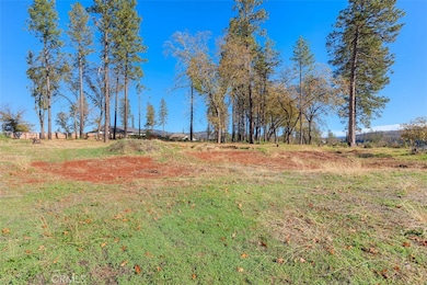 1751 Stark Ln, Paradise, CA 95969 - photo 4