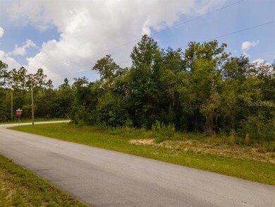 0 SW Lobelia Ct unit O6044520, Dunnellon, FL 34431 - photo 5