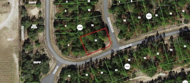 11290 N Kenney Loop, Citrus Springs, FL 34433 - photo 2