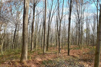 0 Beam Rd unit 4419337, Glenmont, OH 44628 - photo 4