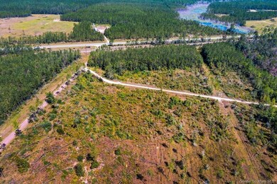 2 Pilgrim Rest Rd, Dequincy, LA 70633 - photo 6