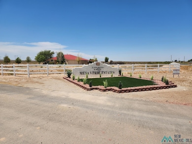 Lot 20A S Tagwood Ln, Carlsbad, NM 88220 - photo 2