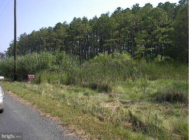 0 Kirwans Neck Rd, 5, Lakes, MD - photo 2