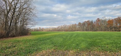 0 New York 96a, Romulus, NY 14541 - photo 6