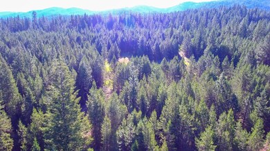 TBD6 Clear Creek Rd, Cascade, ID 83611 - photo 4