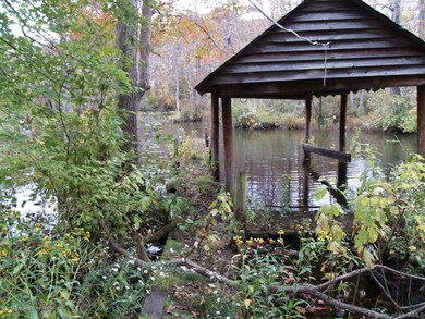 Old Boat Structure on Creek