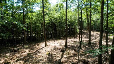 157 Banjo Dr unit 1, Thornton, NH 03285 - photo 7