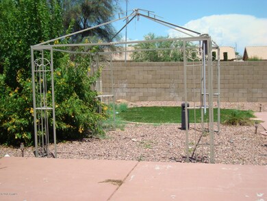 Backyard View