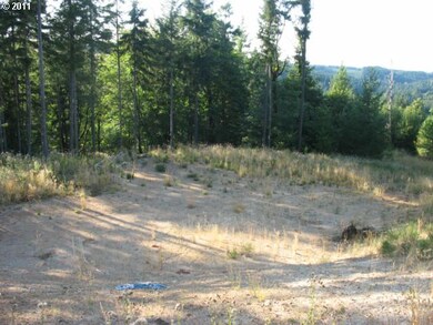 0 S Bird Rd, Molalla, OR 97038 - photo 6