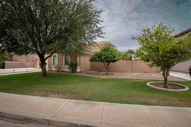 IMG_6100 (1)