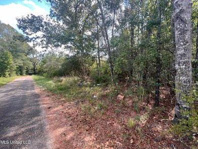 0 Gladhurst Rd, Magnolia, MS 39652 - photo 4