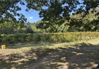 80380 42nd St, Decatur, MI 49045 - photo 4