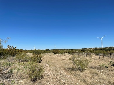 0000 Allen Rd, Christoval, TX 76935 - photo 5
