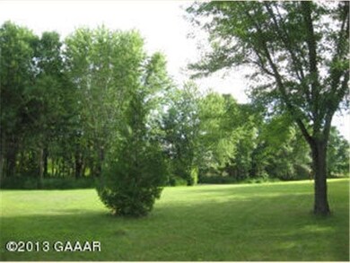 11047 Rose Ln SW, Alexandria, MN 56308 - photo 4