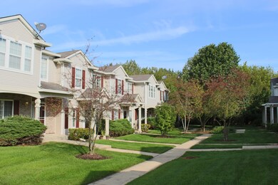 Yard/Garden
