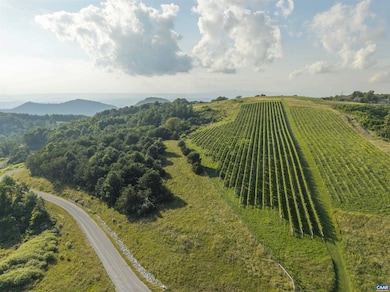 Lot 4 Twelve Ridges Way unit 4, Vesuvius, VA 24483 - photo 6