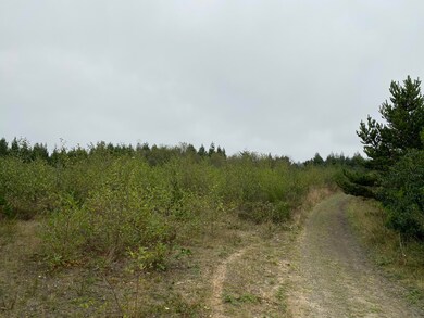 IMG-0730