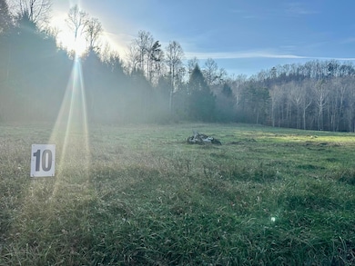 Lot 10 Hensley Rd, East Bernstadt, KY 40729 - photo 2