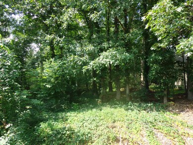 170 Dovenshire Dr, Crossville, TN 38558 - photo 3