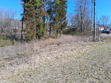 2 lots Lutie Rd, Wilburton, OK 74578 - photo 2