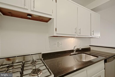 Potomac Plaza Terraces unit 219, Washington, DC 20037 - photo 5