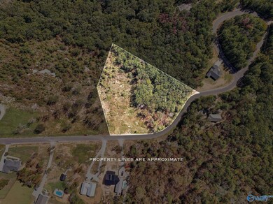 215 Wilson Rd, Scottsboro, AL 35769 - photo 6