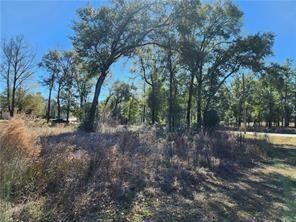 0 Deer Crest Dr unit 7552478, Mobile, AL 36695 - photo 4