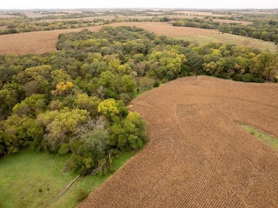 Tbd L Rd, Palmyra, NE 68418 - photo 7