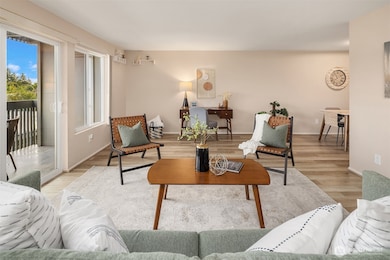 7064 35th Ave NE unit 13, Seattle, WA 98115 - photo 5