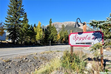 14 Spyglass Ln unit 14, Silverthorne, CO 80498 - photo 5