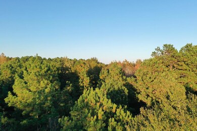 0 County Road 2117, Douglassville, TX 75560 - photo 6