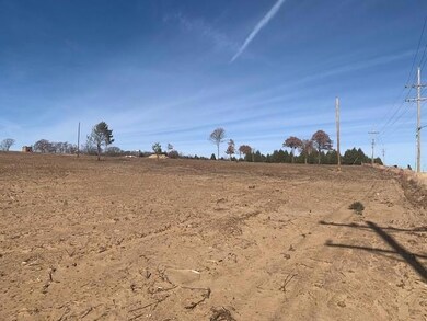 View of local wilderness with a rural view
