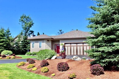 50 year Malarkey shingles