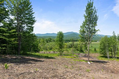 251 White Birch Rd, Morristown, VT 05661 - photo 5