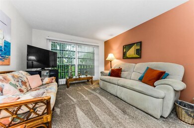 2700 Bayshore Blvd unit 4106, Dunedin, FL 34698 - photo 7