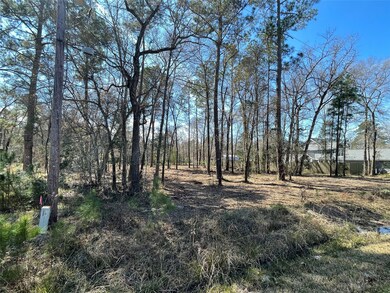 0 Bob White St, Conroe, TX 77385 - photo 4