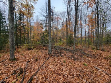 ON Cth A unit Lot 3, Deerbrook, WI 54424 - photo 2