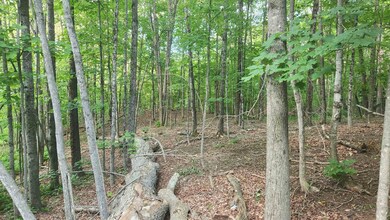 46-2 & 47 New Hampshire 153, Union, NH 03887 - photo 7