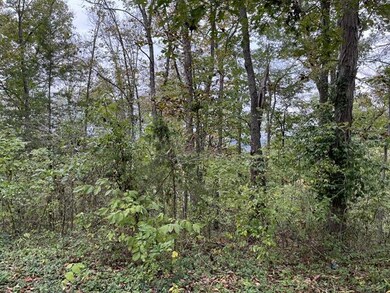 Lot 20 Rabbit Run, Flat Creek A Township, MO 65624 - photo 5