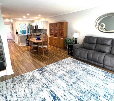 221 Juniper Dr, South Burlington, VT 05403 - photo 5