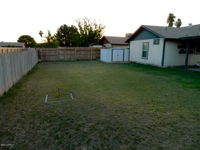 Back Yard 2