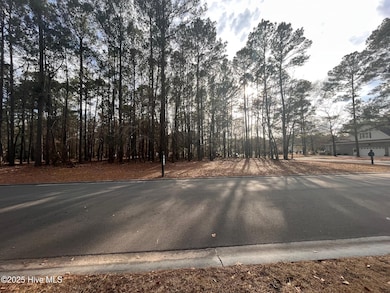 264 Red Fox Run Dr, Wallace, NC 28466 - photo 3