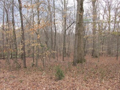 0 Country Club Dr unit 1812844, Manchester, TN 37355 - photo 2