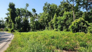 405 Harmon St, Lexington, SC 29072 - photo 2