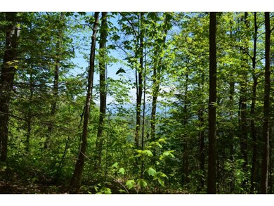 wooded view